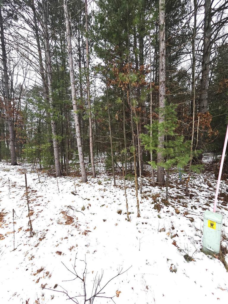 LOTS2 Kaufman Rd, Tomahawk, WI 54487