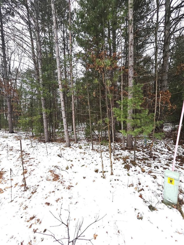LOTS2 Kaufman Rd, Tomahawk, WI 54487
