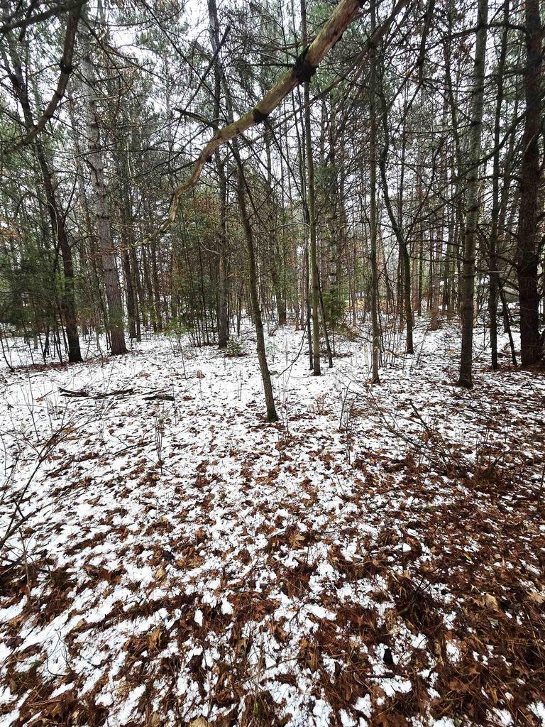 LOTS2 Kaufman Rd, Tomahawk, WI 54487