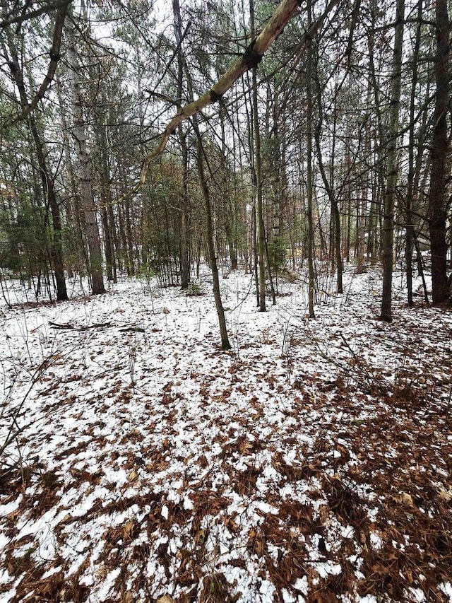 LOTS2 Kaufman Rd, Tomahawk, WI 54487