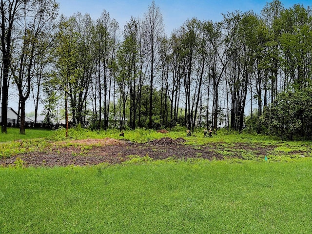 1132 Lisa Ln, New Holstein, WI 53061