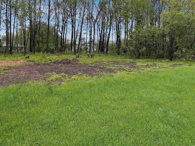 1132 Lisa Ln, New Holstein, WI 53061