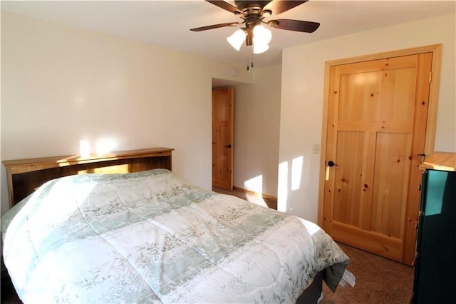 4315 Hector Dam Rd, Shell Lake, WI 54871 - bedroom featuring carpet floors, ceiling fan, and a closet