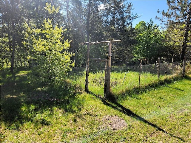 4315 Hector Dam Rd, Shell Lake, WI 54871 - view of yard