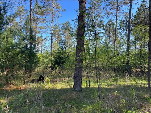 LOT3 Elaine Dr, Hayward, WI 54843