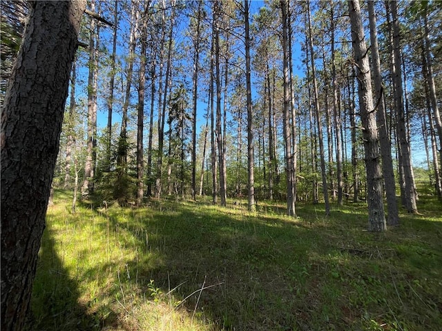 LOT3 Elaine Dr, Hayward, WI 54843