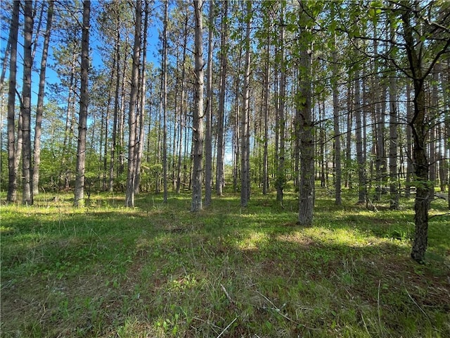 LOT3 Elaine Dr, Hayward, WI 54843
