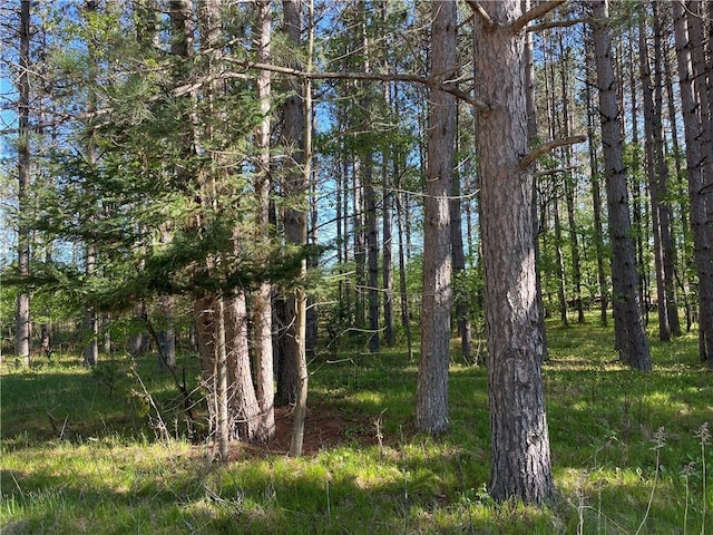 LOT3 Elaine Dr, Hayward, WI 54843