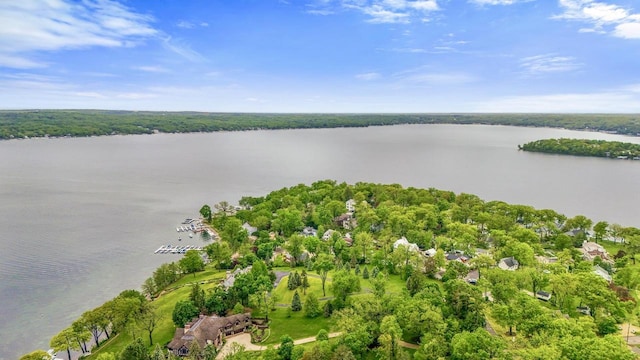 71 Menomonee St, Williams Bay, WI 53191 - aerial view of property and surrounding area with a nearby body of water
