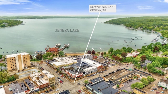 71 Menomonee St, Williams Bay, WI 53191 - bird's eye view of a large body of water