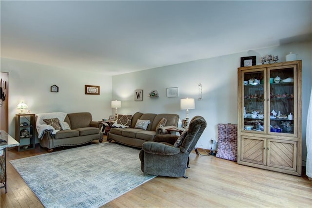 616 E Polk Ave, Eau Claire, WI 54701 - living area featuring light wood-style flooring
