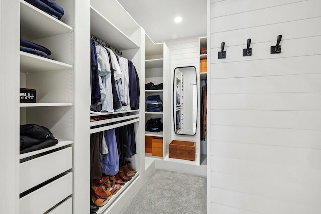 6655 Royal View Dr, Windsor, WI 53532 - spacious closet with carpet floors