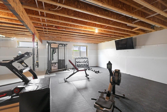 6655 Royal View Dr, Windsor, WI 53532 - view of exercise room