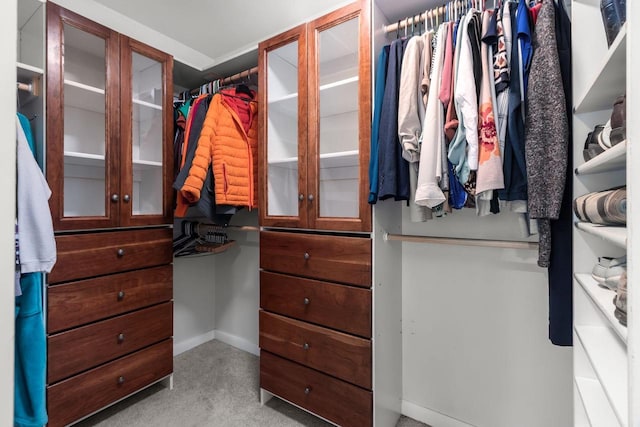 3196 Hidden Pond Rd, Green Bay, WI 54313 - walk in closet featuring carpet flooring