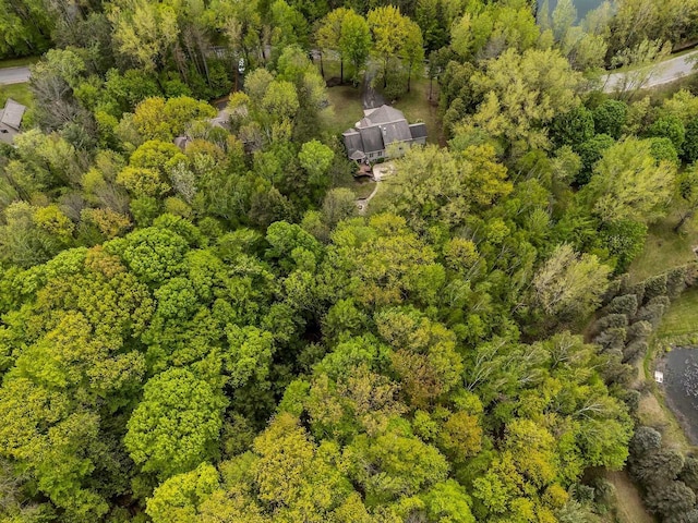 3196 Hidden Pond Rd, Green Bay, WI 54313 - bird's eye view of a heavily wooded area