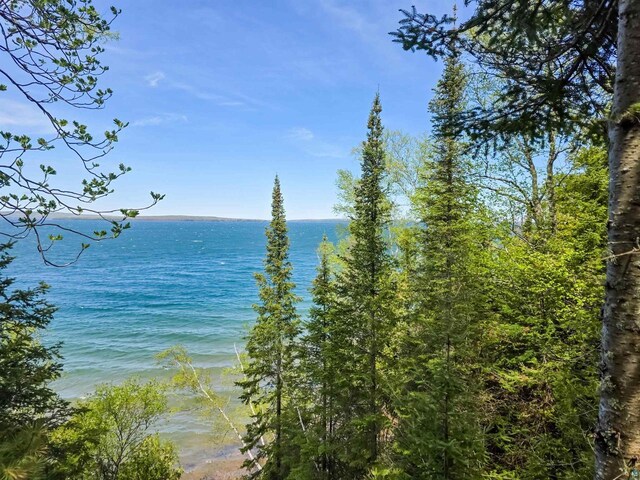 2270 N Shore Rd, La Pointe, WI 54806 - water view