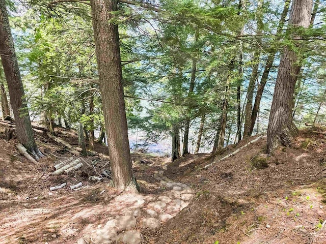 2270 N Shore Rd, La Pointe, WI 54806 - view of local wilderness