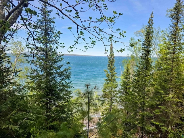 2270 N Shore Rd, La Pointe, WI 54806 - water view