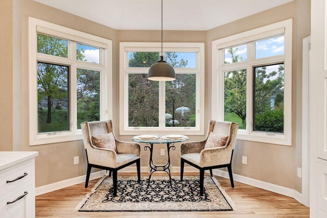 845 Lake Rd Unit D, Brookfield, WI 53005 - sitting room with baseboards and light wood-style floors