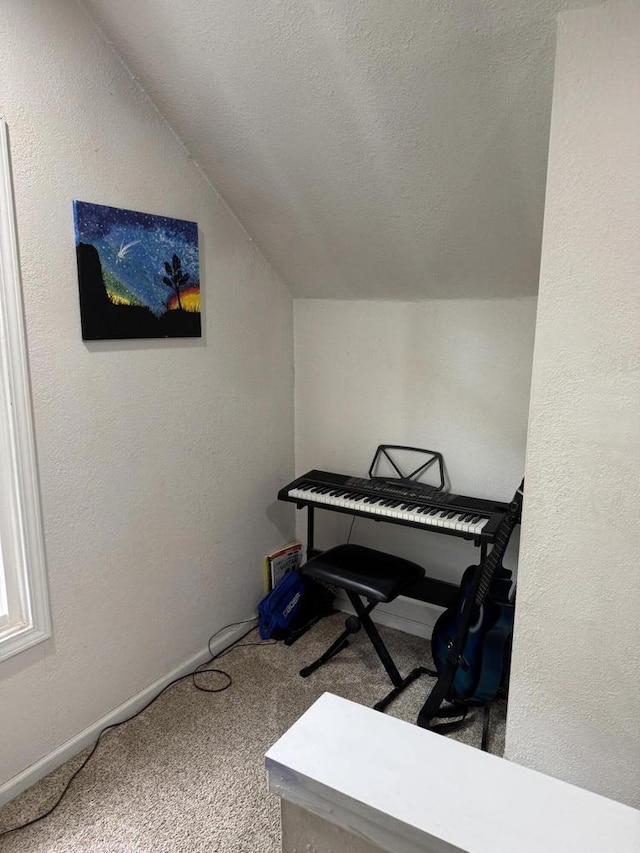 2775 S 53rd St, Milwaukee, WI 53219 - carpeted office space with lofted ceiling, a textured ceiling, and baseboards