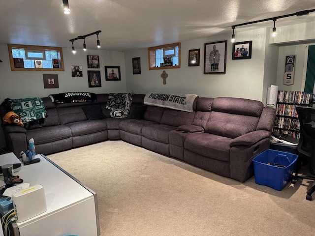 2775 S 53rd St, Milwaukee, WI 53219 - carpeted living area featuring rail lighting and plenty of natural light