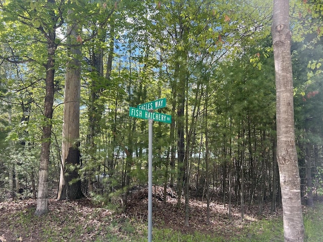 LT18 Eagles Way, Pickerel, WI 54465