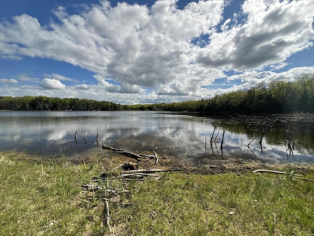 LT18 Eagles Way, Pickerel, WI 54465