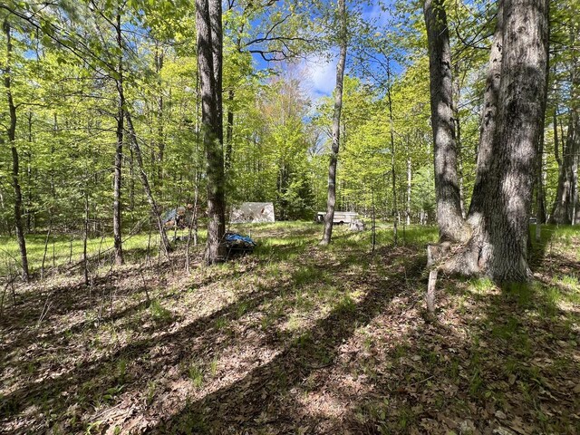 LT18 Eagles Way, Pickerel, WI 54465
