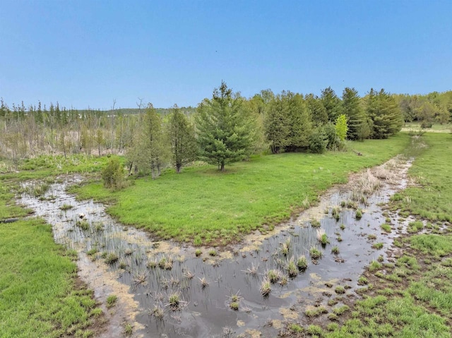 5780 County Road V, Gillett, WI 54124 - view of yard