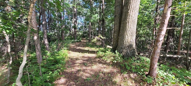 W6887 Two Mile Rd, Porterfield, WI 54159 - view of wooded area