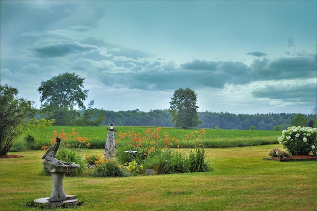 W6887 Two Mile Rd, Porterfield, WI 54159 - view of grassy yard with a view of rural / pastoral area