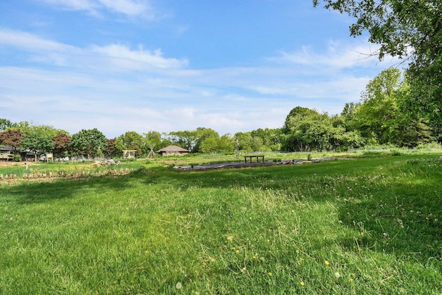 4917 Ralph Cir, Madison, WI 53714 - view of yard