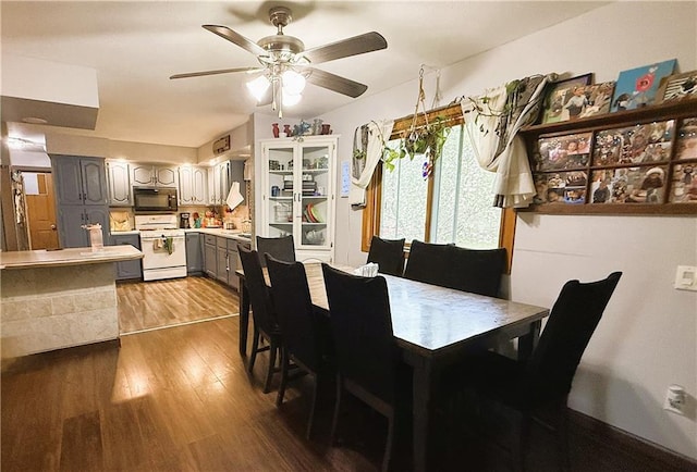 1051 E Chippewa Ave, Bruce, WI 54819 - dining room featuring wood finished floors and ceiling fan