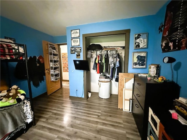 1051 E Chippewa Ave, Bruce, WI 54819 - bedroom featuring wood finished floors and a closet
