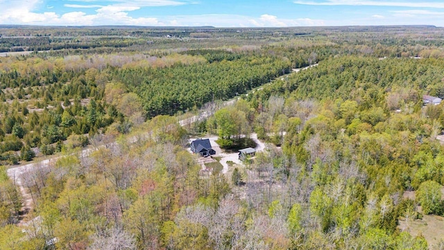 8606 State Highway 57, Baileys Harbor, WI 54202 - aerial view of property's location featuring a heavily wooded area
