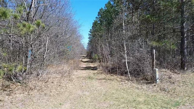 N/A Tomahawk Lake Rd, Barnes, WI 54873