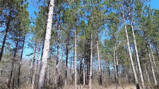 N/A Tomahawk Lake Rd, Barnes, WI 54873