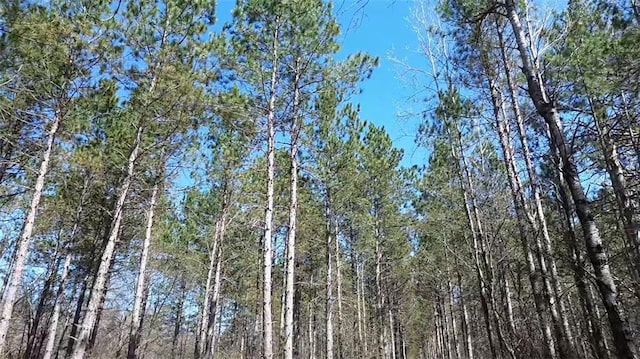 N/A Tomahawk Lake Rd, Barnes, WI 54873