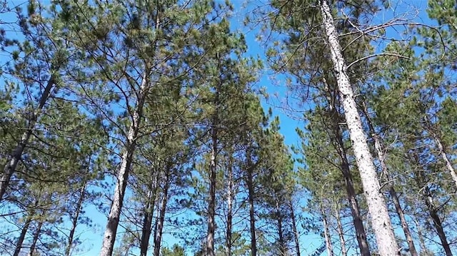 N/A Tomahawk Lake Rd, Barnes, WI 54873