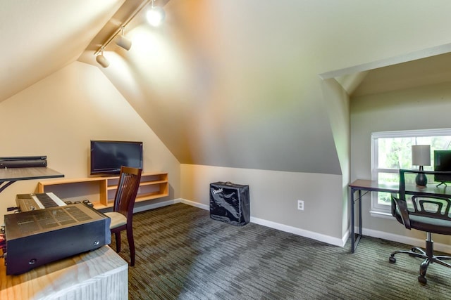 127 S Franklin St Unit 10, Madison, WI 53703 - carpeted home office featuring track lighting, lofted ceiling, and baseboards