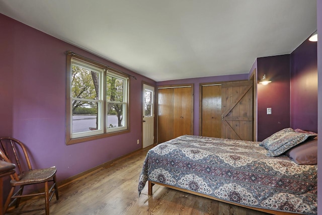 10317 195th Ave, Bristol, WI 53104 - bedroom featuring multiple closets, wood finished floors, and baseboards