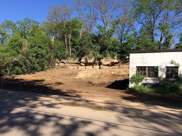 36 Shakerag St, Mindoro, WI 53565 - view of yard