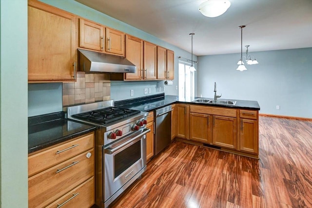 9305 Briar Haven Dr, Verona, WI 53593 - kitchen featuring under cabinet range hood, appliances with stainless steel finishes, a sink, a peninsula, and dark wood-type flooring