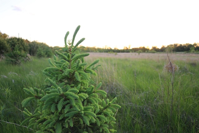 000 County Highway D, Belleville, WI 53508