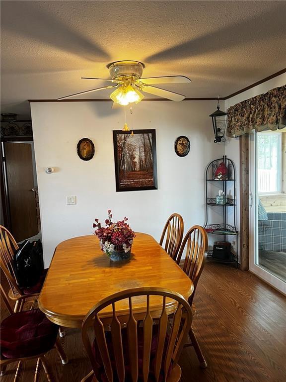 10384 W County Line Rd, Exeland, WI 54835 - dining room featuring a ceiling fan, dark wood-type flooring, and a textured ceiling