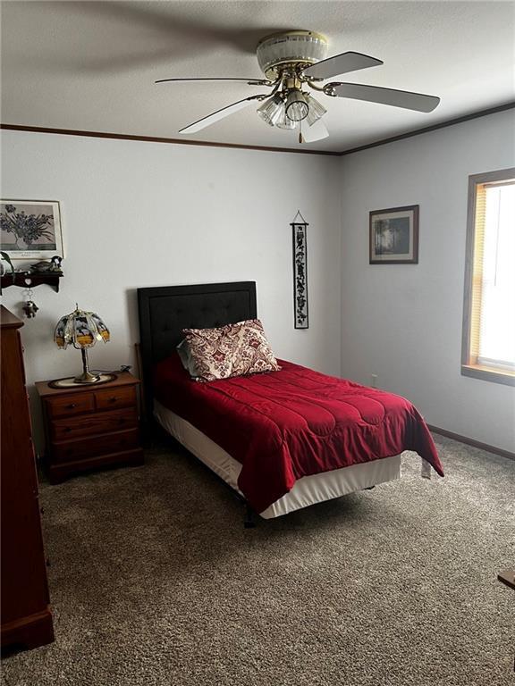 10384 W County Line Rd, Exeland, WI 54835 - bedroom featuring carpet flooring, ceiling fan, and baseboards
