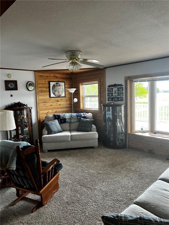 10384 W County Line Rd, Exeland, WI 54835 - carpeted living area with a textured ceiling, wooden walls, and a ceiling fan