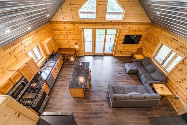 N11594 Woodland Dr, Tomahawk, WI 54487 - living area featuring wood walls, plenty of natural light, high vaulted ceiling, and dark wood-style floors