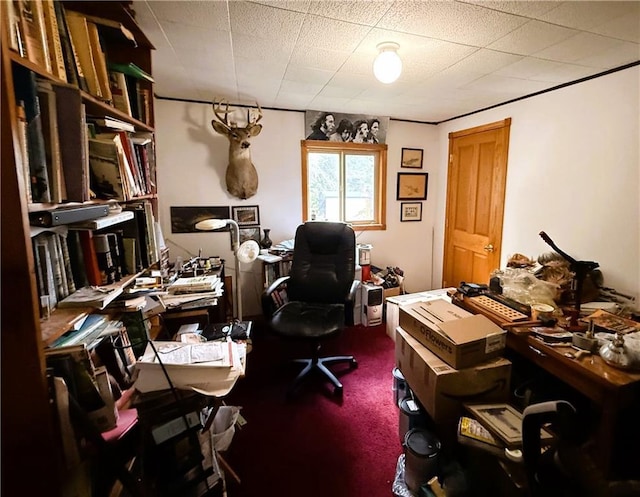 10302W Cty Rd, D, Exeland, WI 54835 - office space featuring carpet flooring