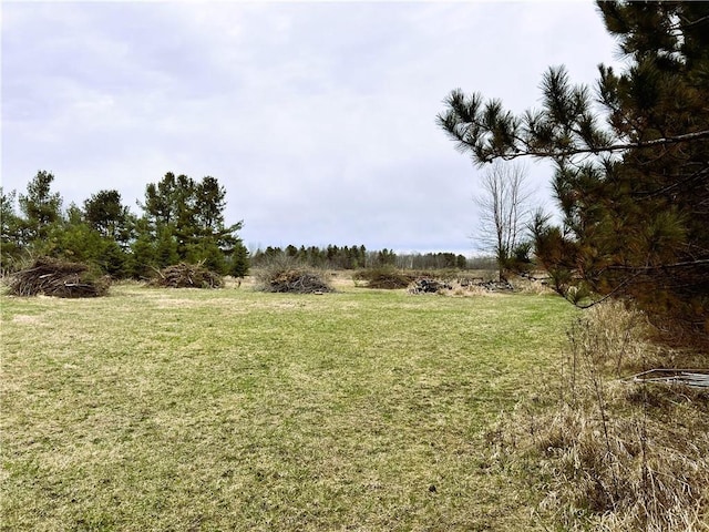 10302W Cty Rd, D, Exeland, WI 54835 - view of green lawn